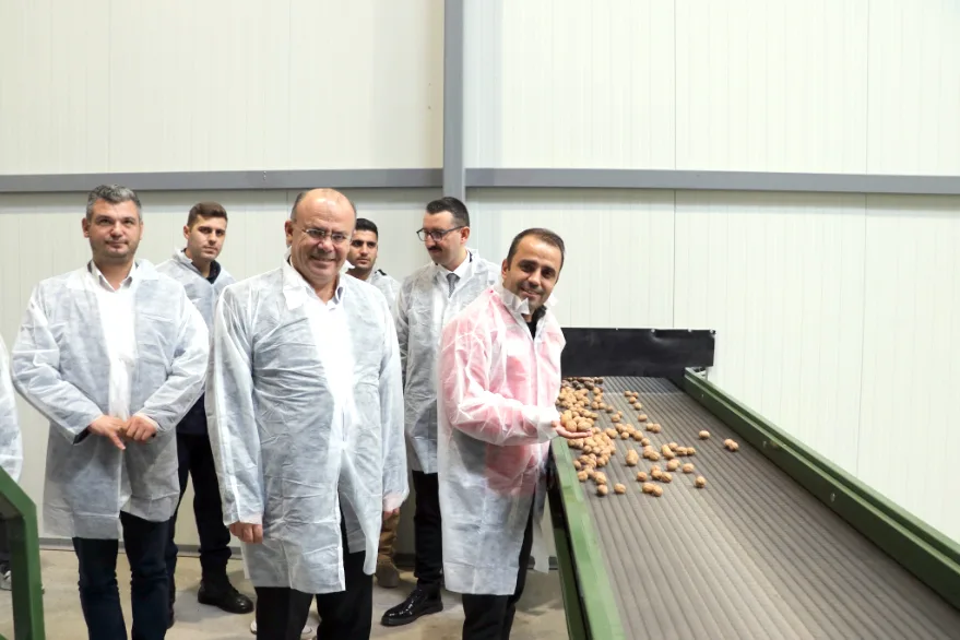 Ceviz Hasadi 3 - Edirne’de 50 bin ağaçlık ceviz bahçesinde hasat başladı