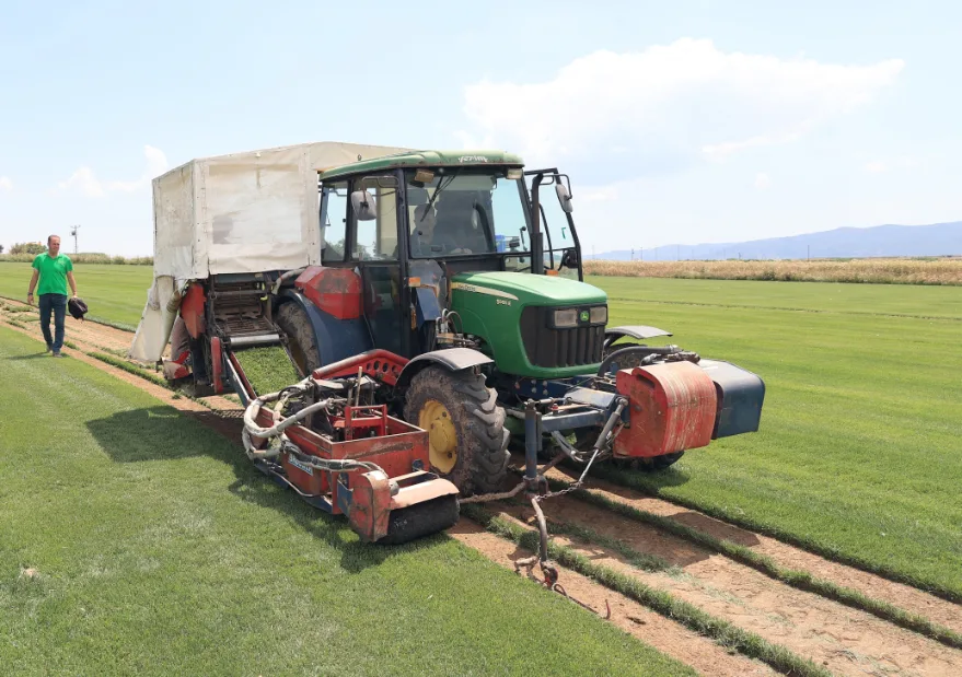 Rulo Cim Uretimi 5 - Edirne’de üretilen rulo çimler dünyayı yeşertiyor