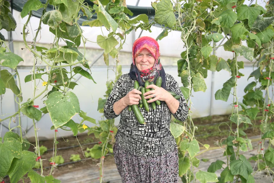Sirin Teyze 2 - Edirneli Şirin teyze ikinci serasına kavuşuyor