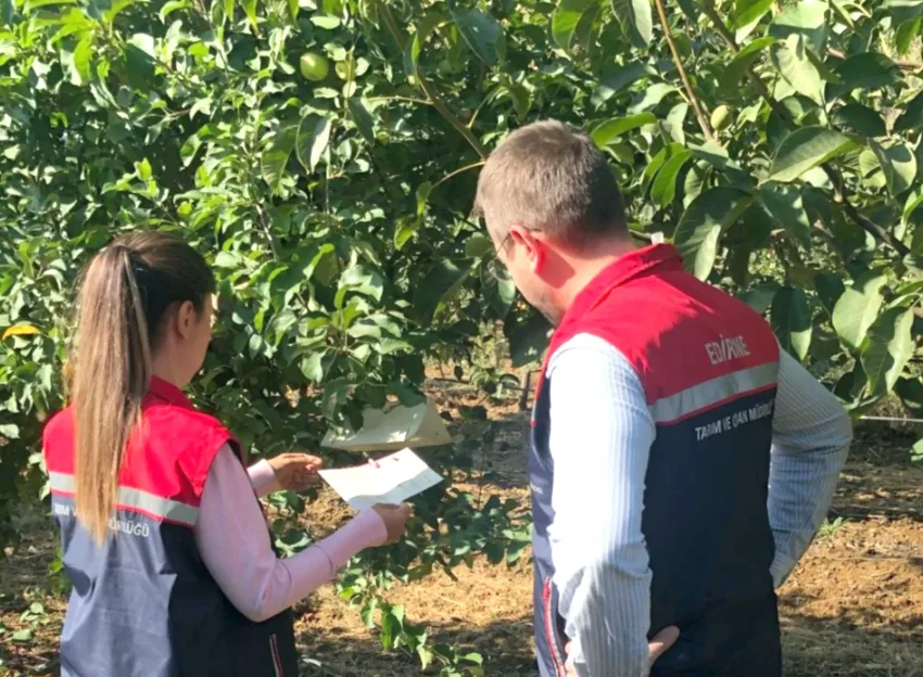 Edirne’de tarım alanlarında zararlı takibi yapıldı