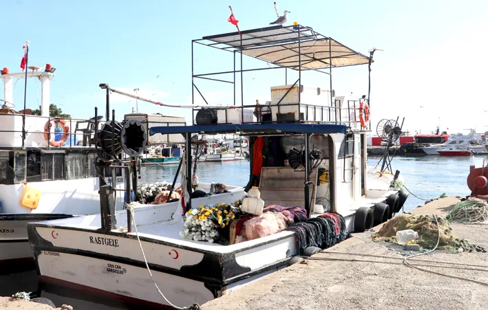 Balikcilik meslegii 2 - Tekirdağlı balıkçılar havanın ve deniz suyunun soğumasını bekliyor