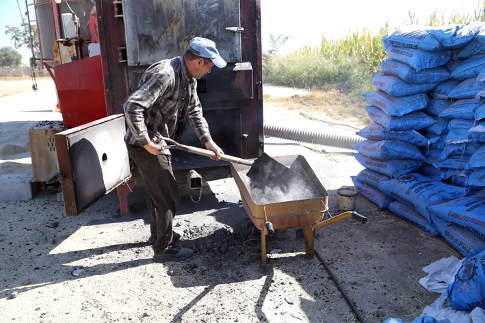 Celtikte hasat ve kurutma 2 - Edirne’de çeltik üreticisi hem hasat hem kurutma mesaisi yapıyor