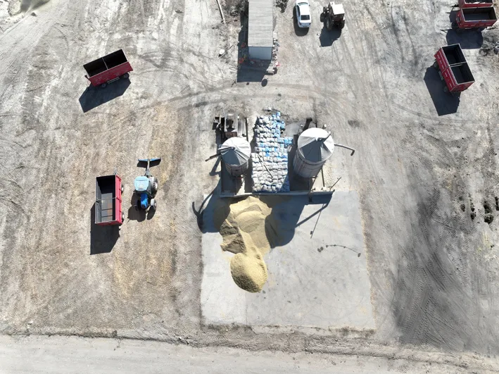 Celtikte hasat ve kurutma 5 - Edirne’de çeltik üreticisi hem hasat hem kurutma mesaisi yapıyor