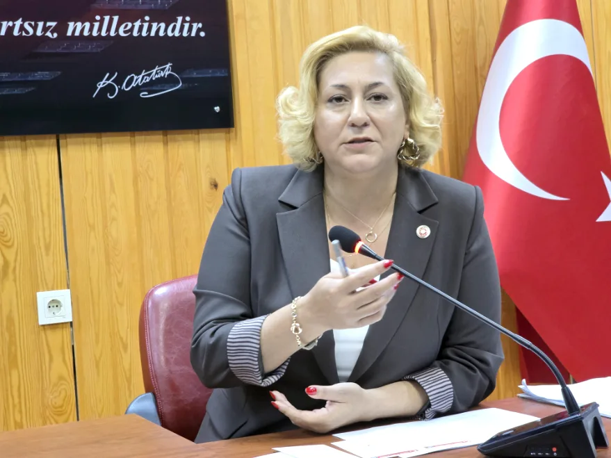 20251127 121631 - Vali Sezer, Mecliste projeleri anlattı