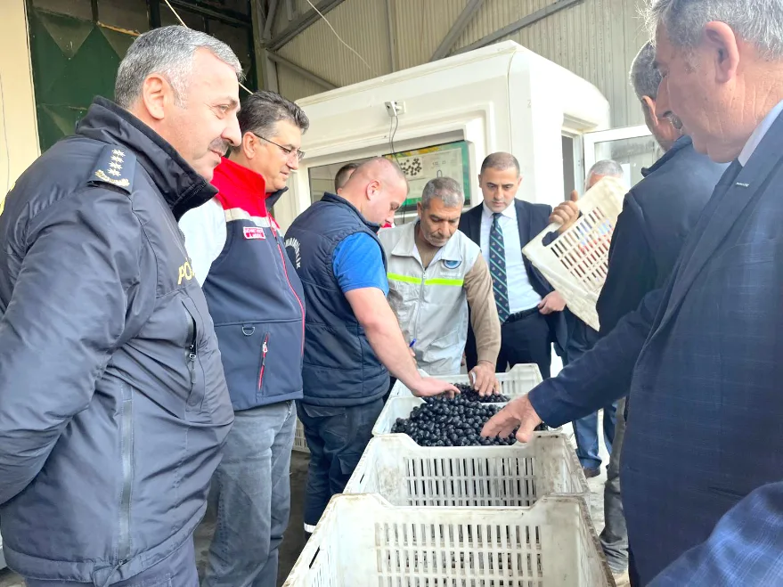 Tekirdağ’da zeytin hasadı etkinliği yapıldı