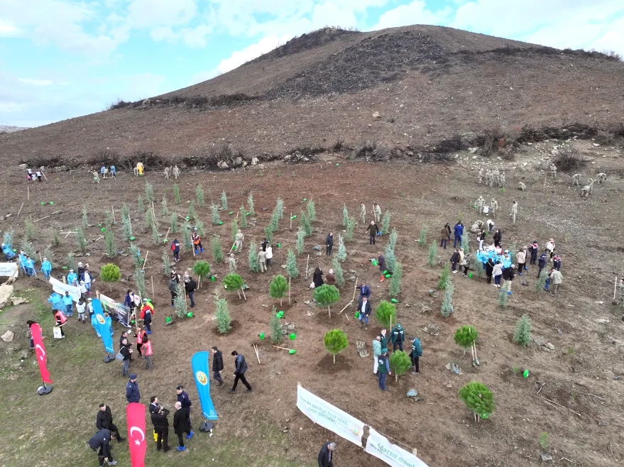 Agaclandirma Gunu 1 - Fidanlar toprakla buluşturuldu