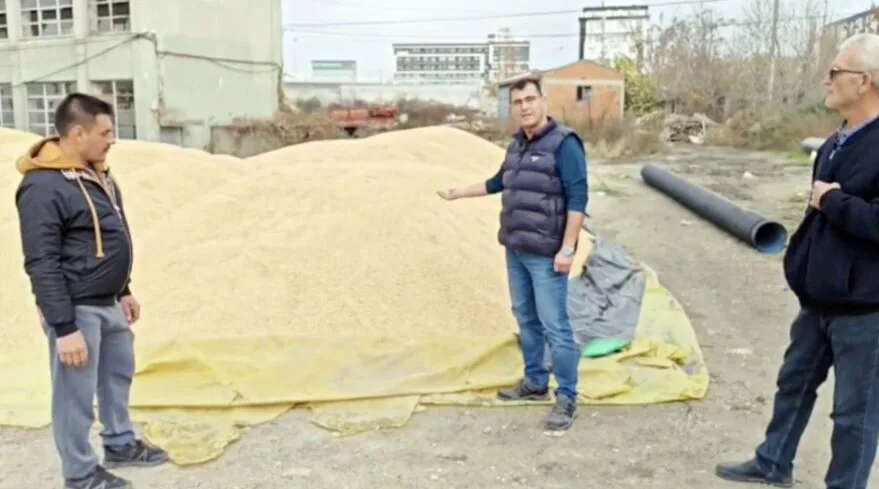 Akgüngör, çeltik üreticilerinin sorunlarına dikkat çekti