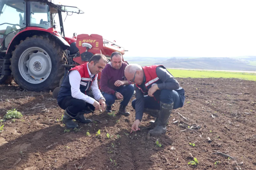 Ayçiçeği ve buğdayda verimi artıracak proje sahada uygulanıyor