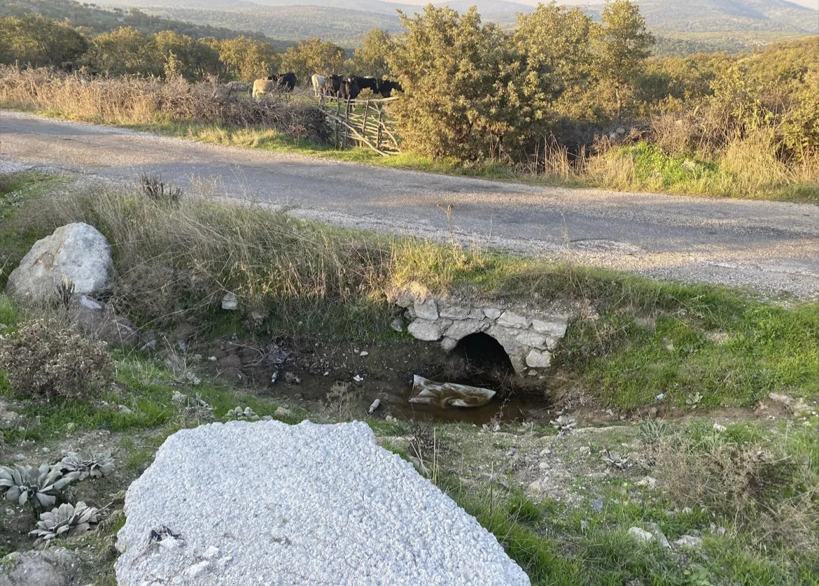 Çanakkale’de boş arazide bebek cesedi bulundu