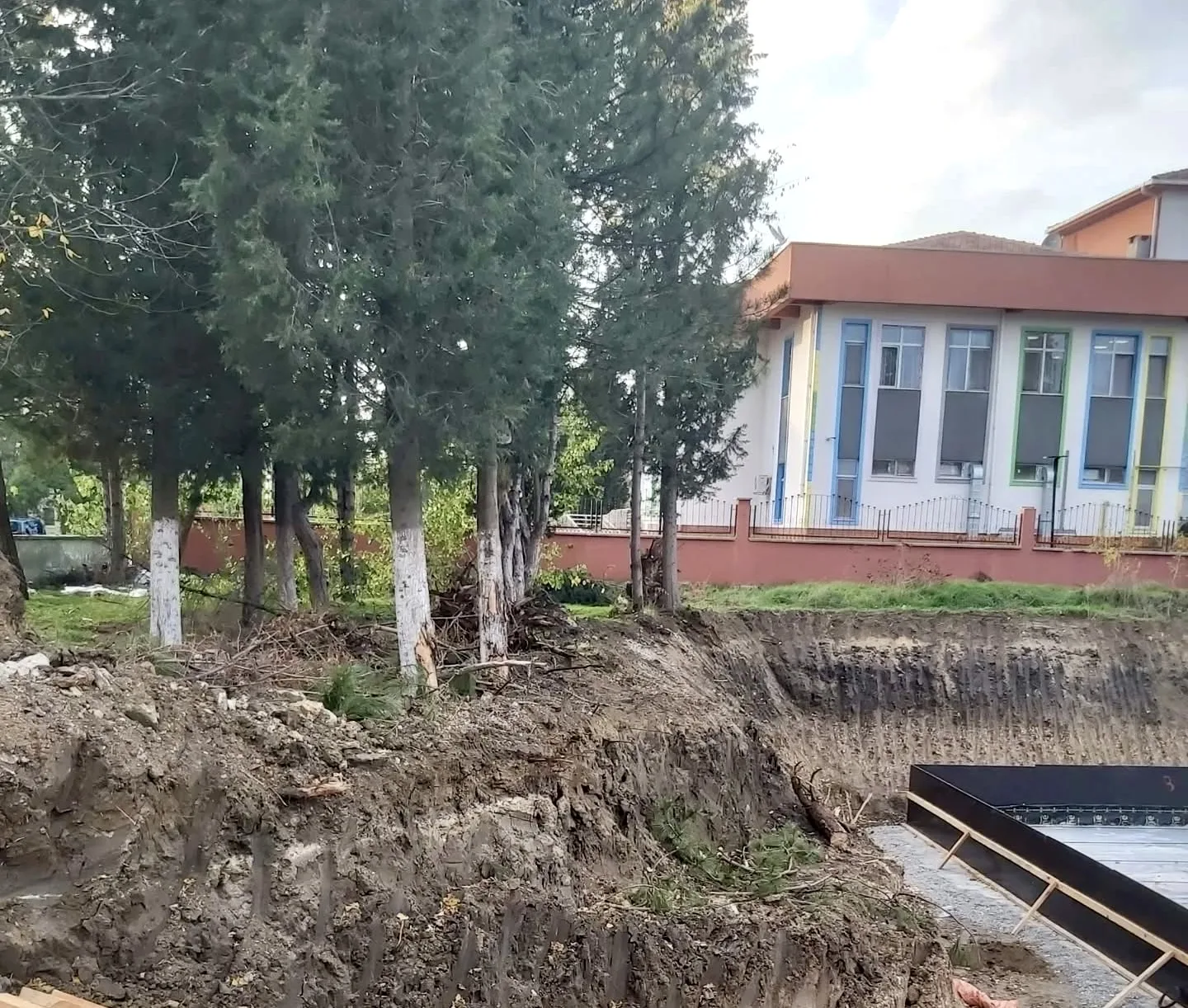 TEMA Edirne, okul bahçesindeki ağaçlar için çağrıda bulundu