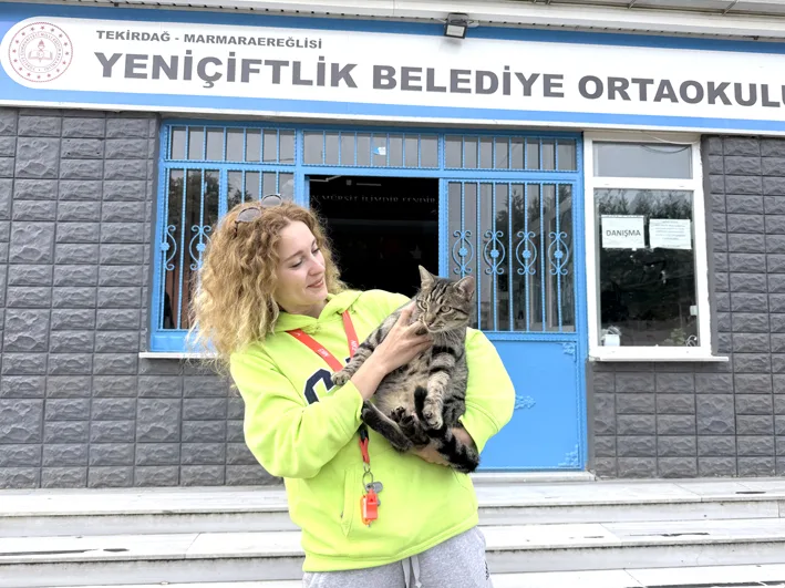 Pelin 2 - Pelin öğretmen 11 yıldır “çocuklarım” dediği kedileri besliyor