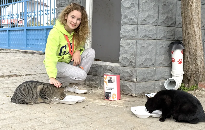 Pelin öğretmen 11 yıldır “çocuklarım” dediği kedileri besliyor