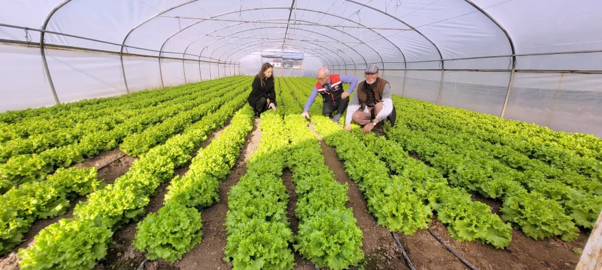 Edirne’de tarım ekipleri üreticinin yanında