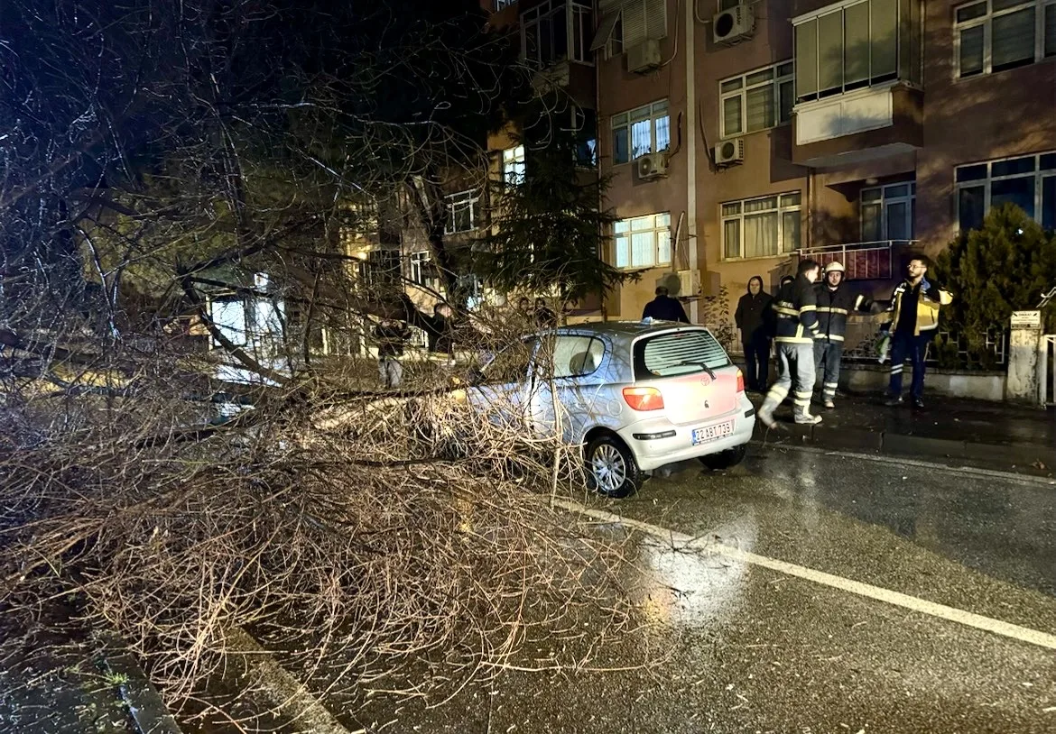 Edirne’de seyir halindeki otomobilin üzerine ağaç devrildi