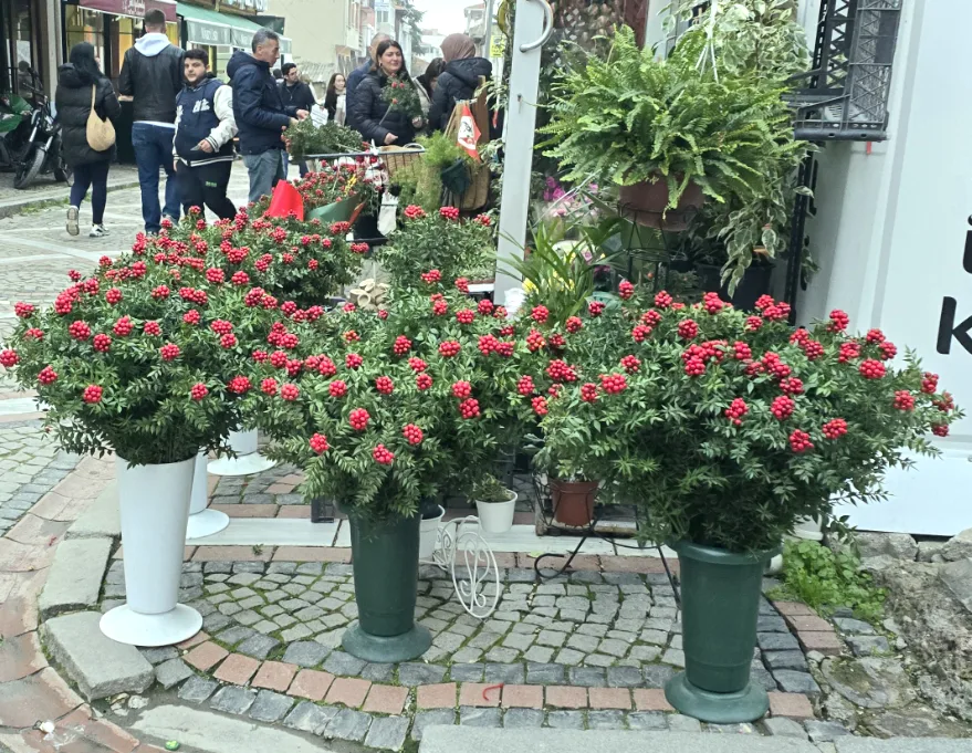 Edirne’de yılbaşı öncesi kokinaya yoğun ilgi