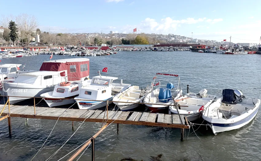 Tekirdağlı balıkçılar yeni yılda sardalya ve istavrit umuduyla ağ atacak