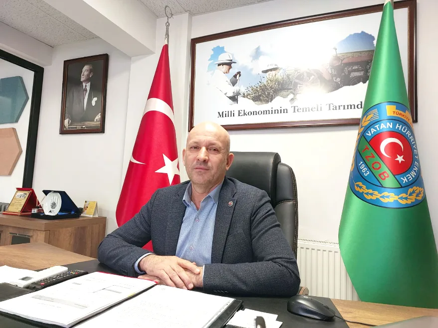 TMO’nun çeltik fiyatı üreticiyi kurtarmadı