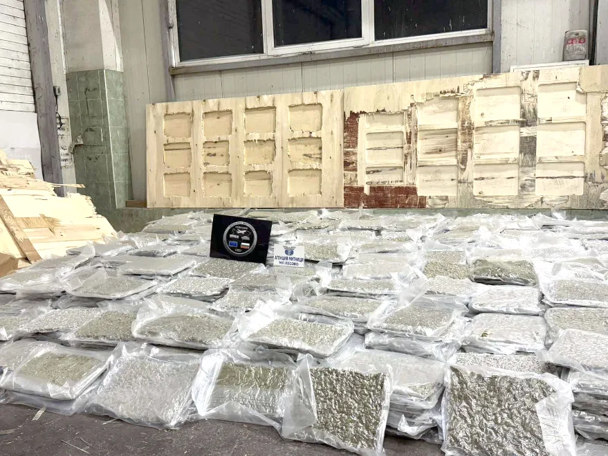 Türkiye’ye giden TIR’da 700 kilo esrar yakalandı