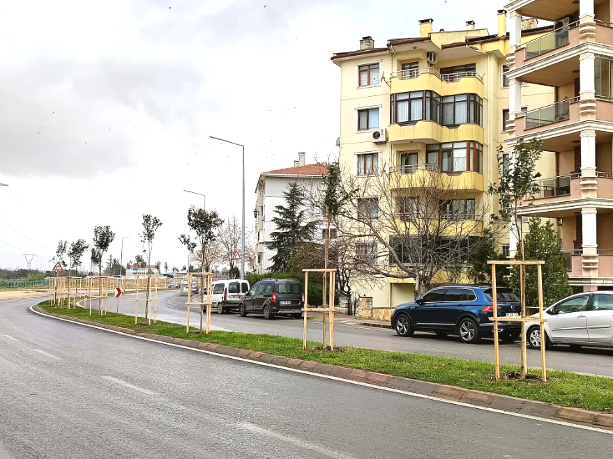 Cevreciler Tepki 3 - Kıyık’ta beton, Kocasinan’da ağaç