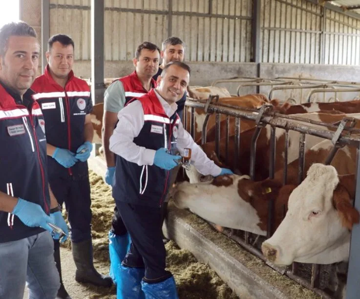 Edirne’de 2025’te hayvan sağlığı çalışmaları aralıksız devam etti