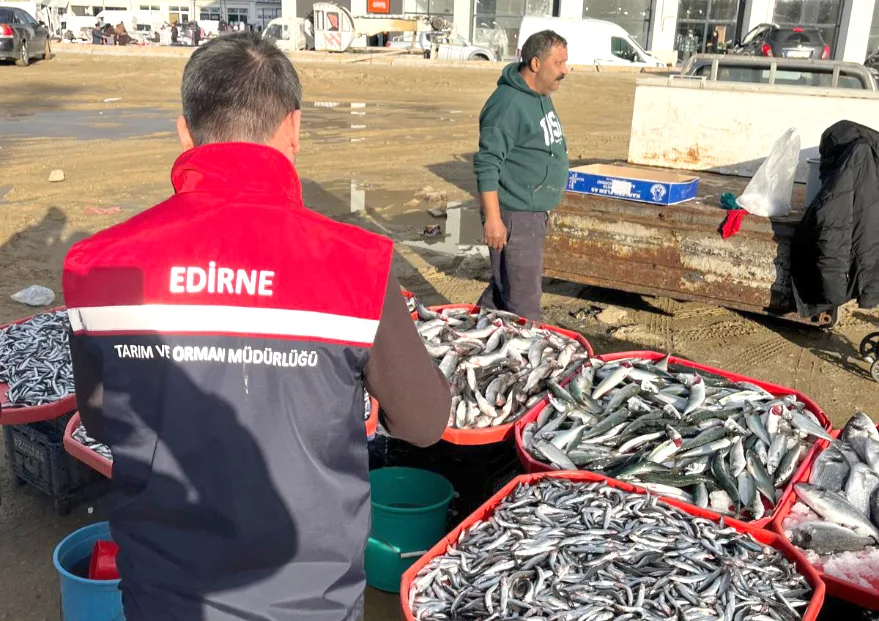 Edirne’de su ürünlerine yakın takip