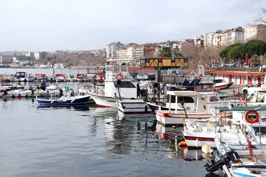 Tekirdağlı balıkçılar torik için denize açılıyor
