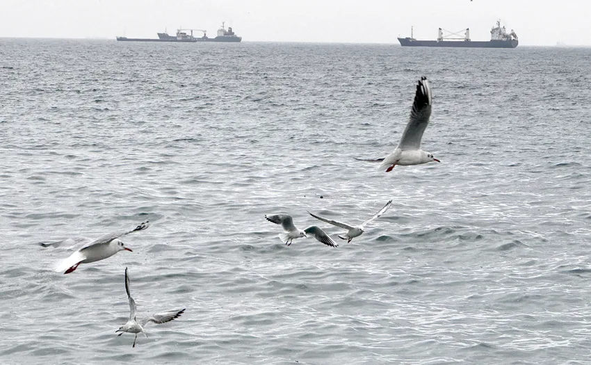 Tekirdağ’da lodos deniz ulaşımını olumsuz etkiliyor