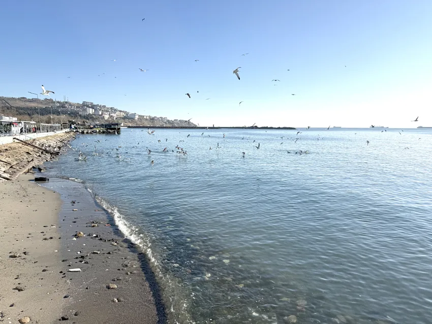 Tekirdağ’da deniz ulaşımı normale döndü