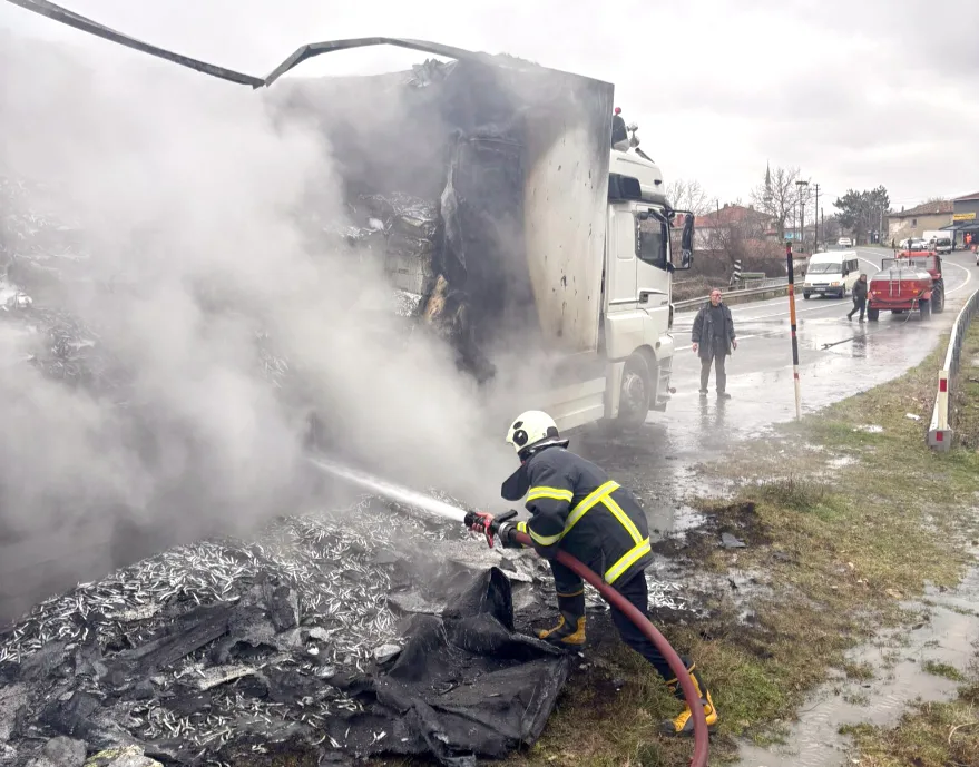 Kırklareli’nde hamsi yüklü TIR alev aldı