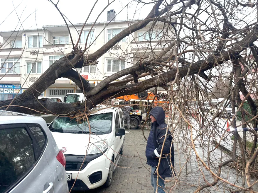 Kırklareli’nde fırtınada üzerine ağaç devrilen otomobil hasar gördü