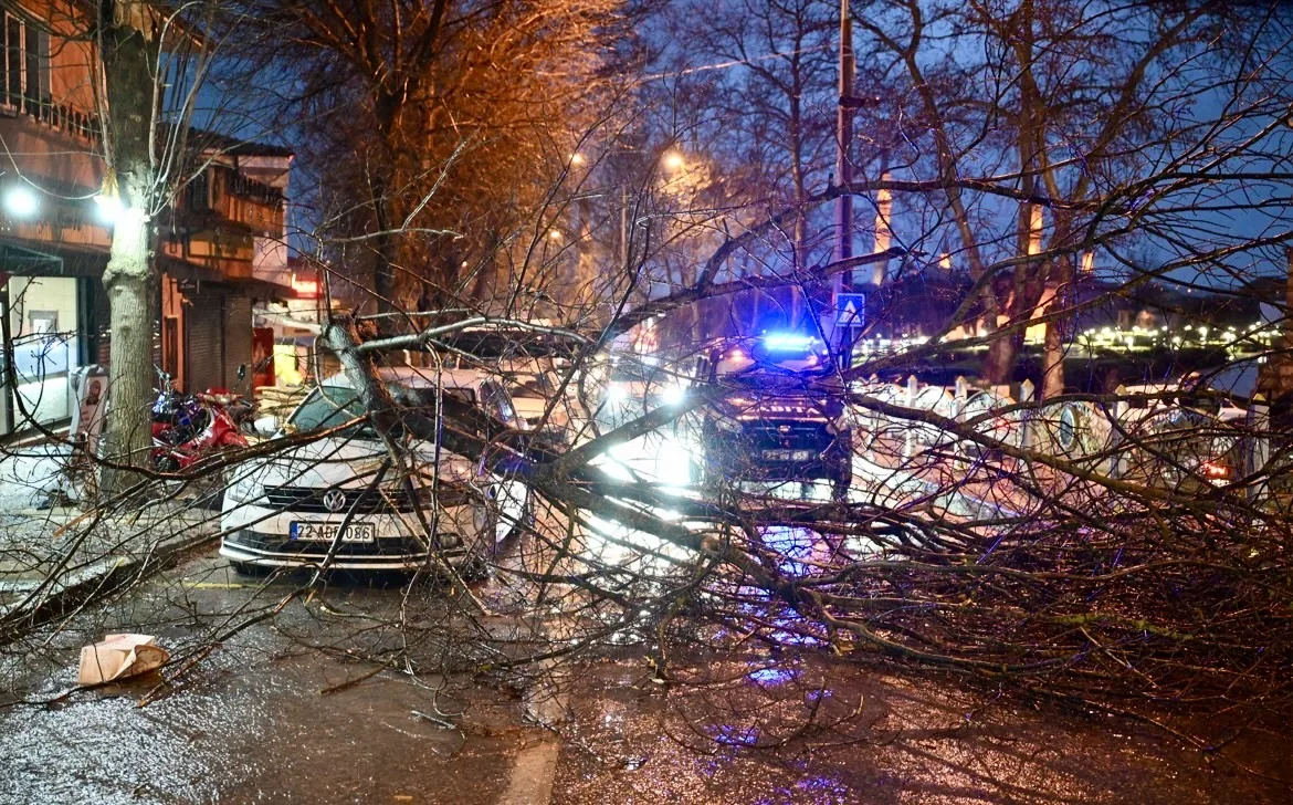 Fırtına ağaçları devirdi