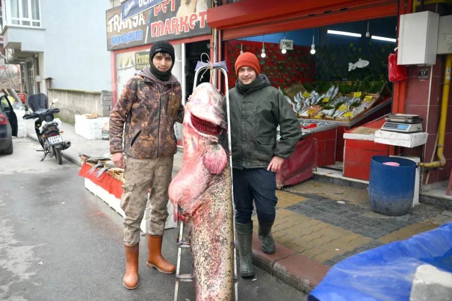 Meriç Nehri’nde 102 kiloluk dev yakalandı