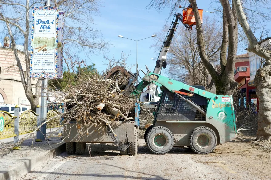 Park ve Bahçeler’den budama çalışması