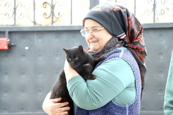 Hayvan sevgisi 3 - Doktor önerisiyle başlayan kedi sevgisi 40 kedilik yuvaya dönüştü