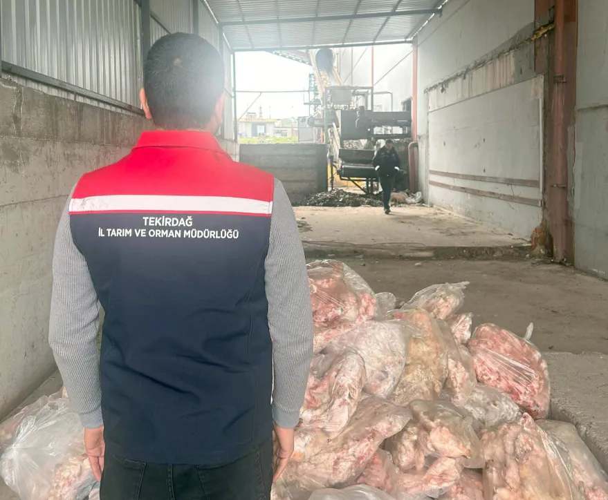 Tekirdağ’da tonlarca sağlıksız hayvansal ürün imha edildi