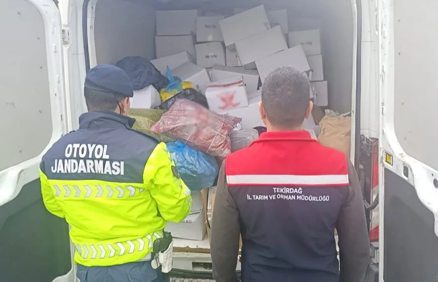 Tekirdağ’da 2 ton sağlıksız Antep fıstığı imha edildi