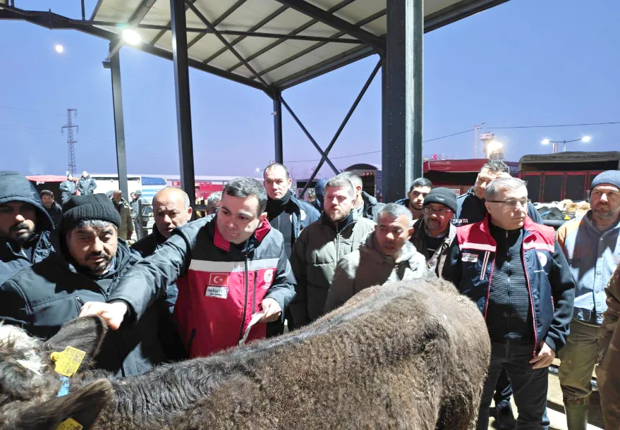 Havsa Canlı Hayvan Pazarı’nda denetim