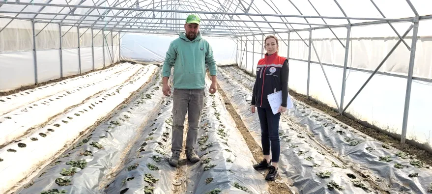 Kapalı ortamda bitkisel üretim denetimi yapıldı