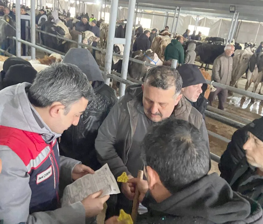 Keşan Canlı Hayvan Pazarı’nda sıkı denetim