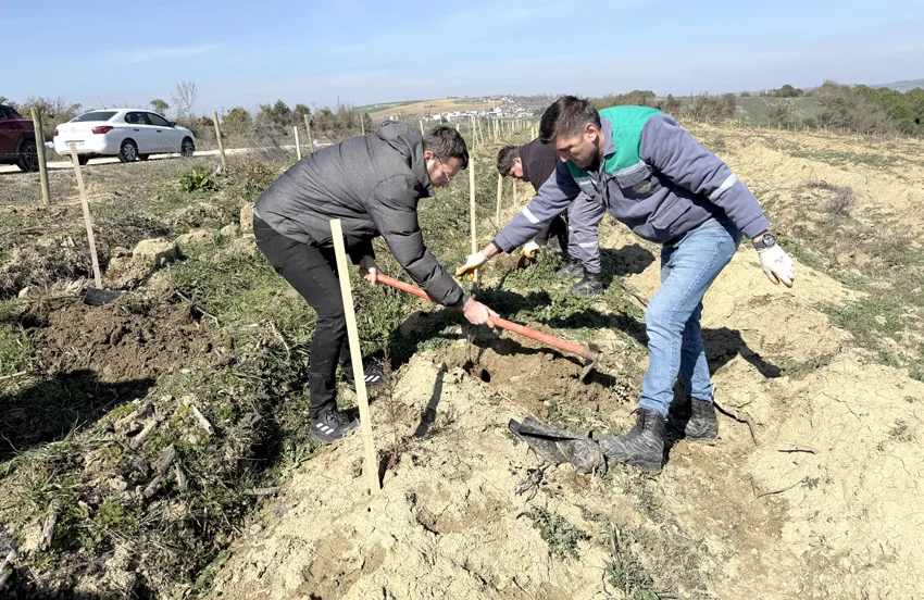 Tekirdağ’da basın mensupları fidan dikti