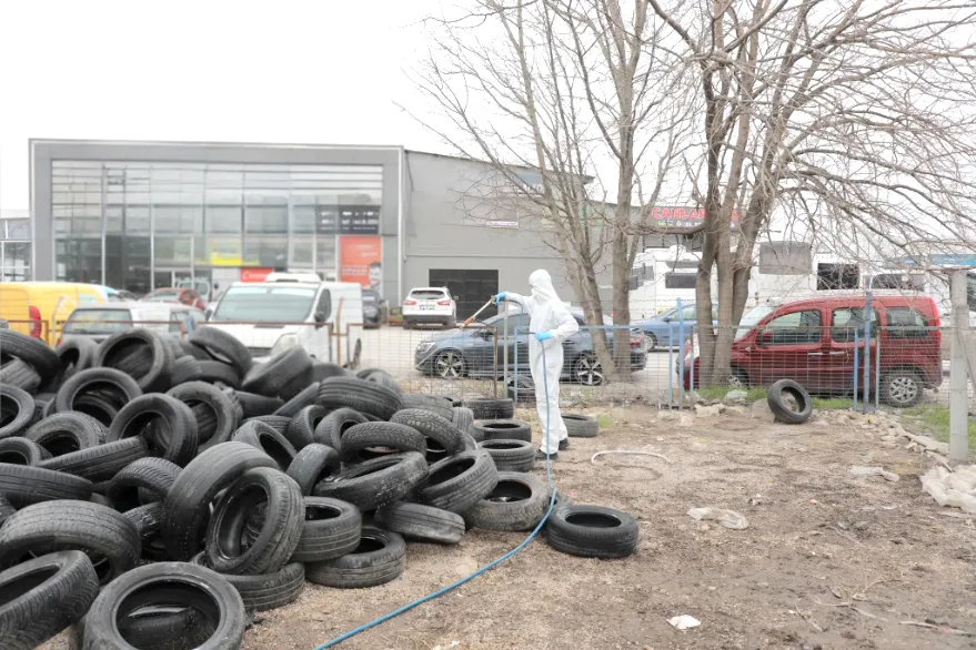 Edirne’de vektörle mücadele sürüyor