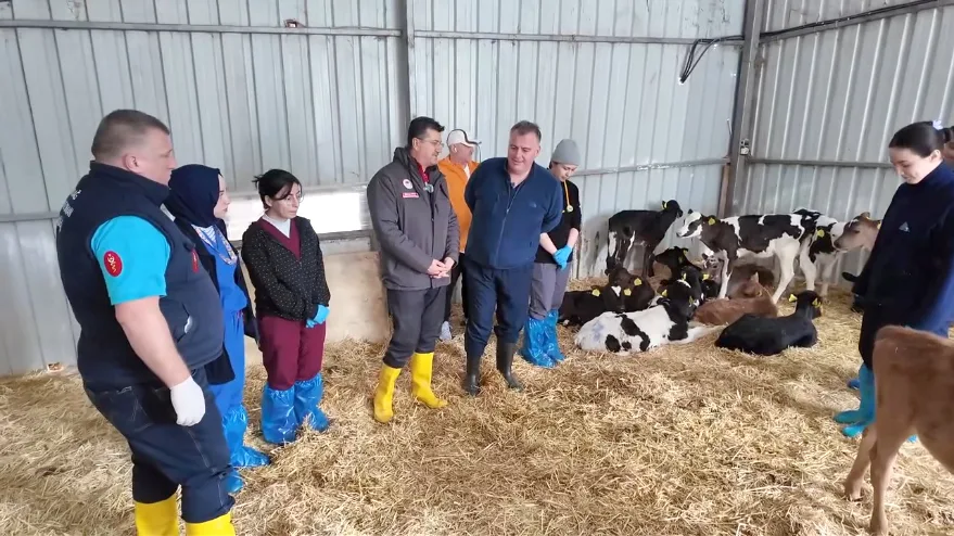Tekirdağ’da üreticiler buzağı sağlığına ilişkin bilgilendirildi
