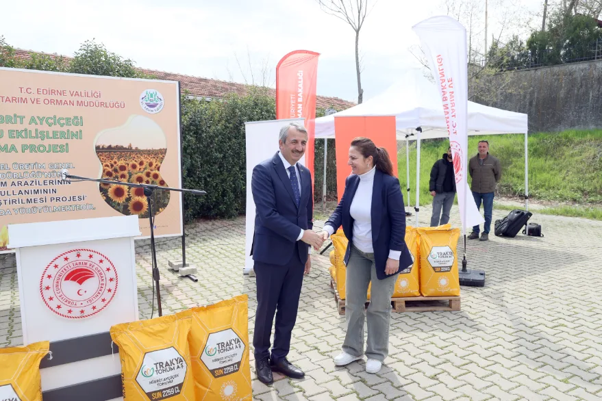 Aycicegi Tohumu Dagitimi 4 - Ayçiçeği üreticilerine 75 hibeli yerli ayçiçeği tohumu