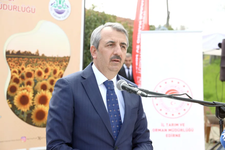 Aycicegi Tohumu Dagitimi 5 - Ayçiçeği üreticilerine 75 hibeli yerli ayçiçeği tohumu