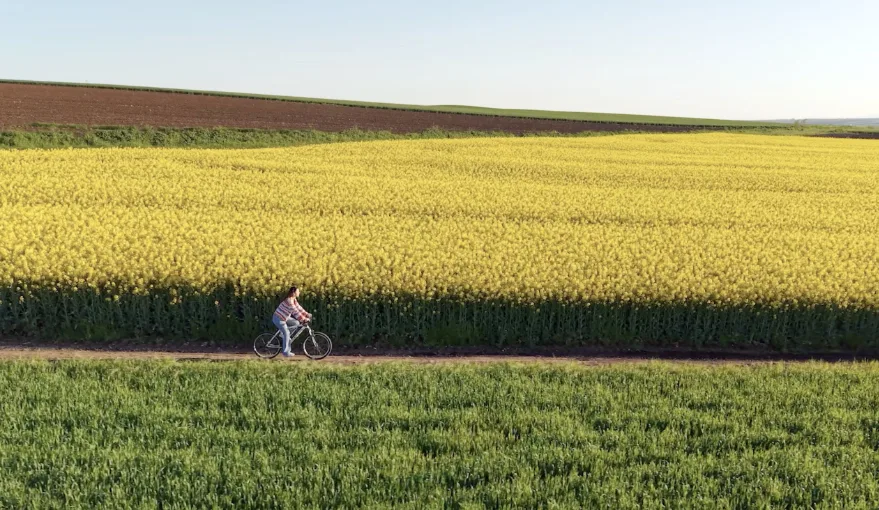 Edirne Agro Turizm 2 - Edirne’de kanola tarlaları agro turizme canlılık katıyor