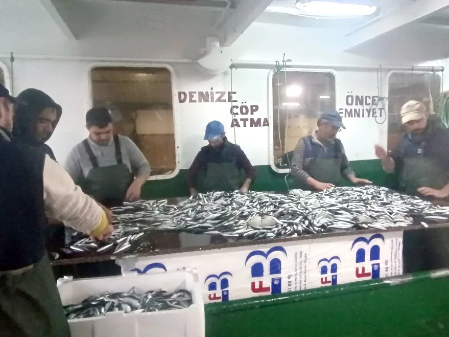 Enez’de av yasağı öncesi ağlar doldu taştı