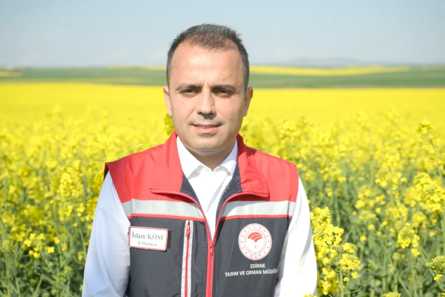 Kanola 1 - Kuraklığın ilacı kanola oldu