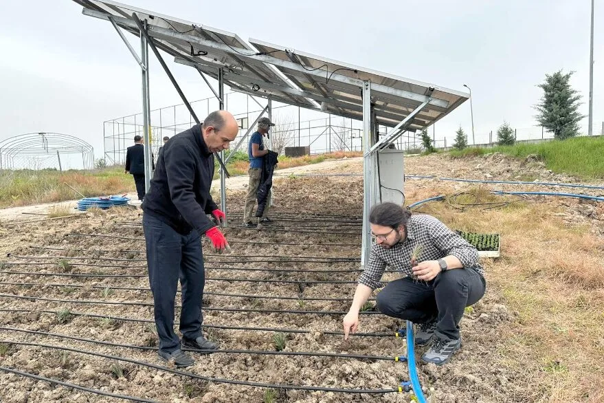 Üniversiteden üretimde çifte kazanç modeli