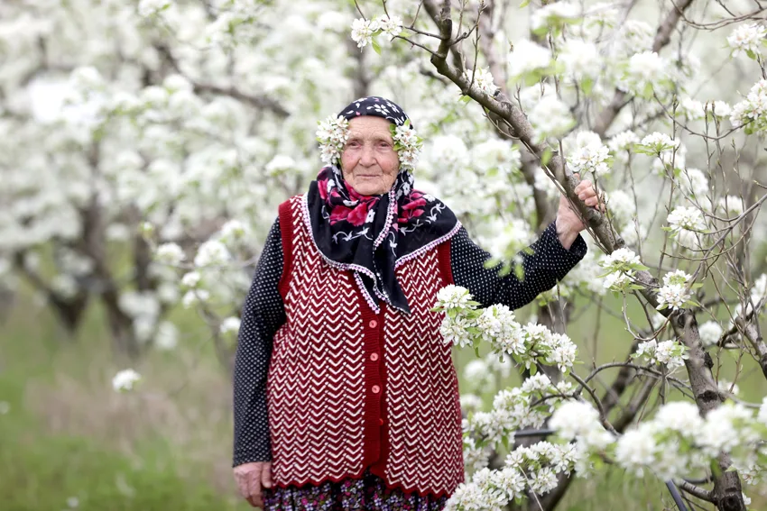 Cicekler acti - Doğanın uyanışı görsel şölene dönüştü