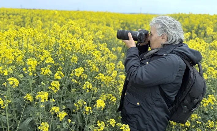 Foto safari 2 - Tekirdağ’da kanola tarlasında foto safari düzenlendi
